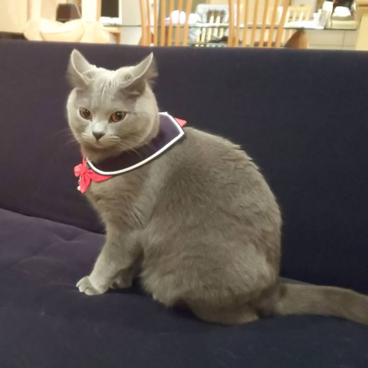 Fdfc6163 3982 4ae3 808e 5381d2f03efc 1542618421812