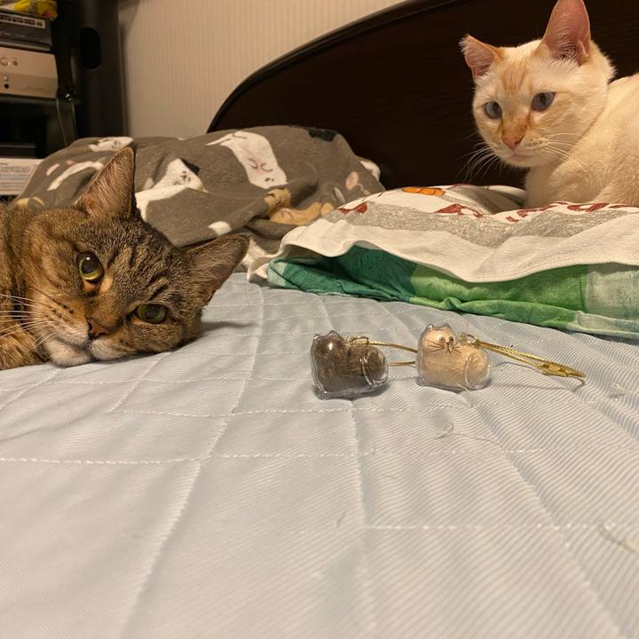 Fdfc6ba6 a02d 4319 9535 62816a2a6f47 1752755744417