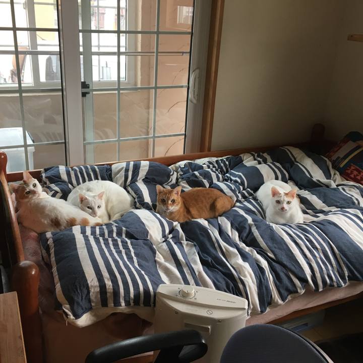 Fdfc7922 9f27 4fdd b066 8e59d5794430 1553167939939