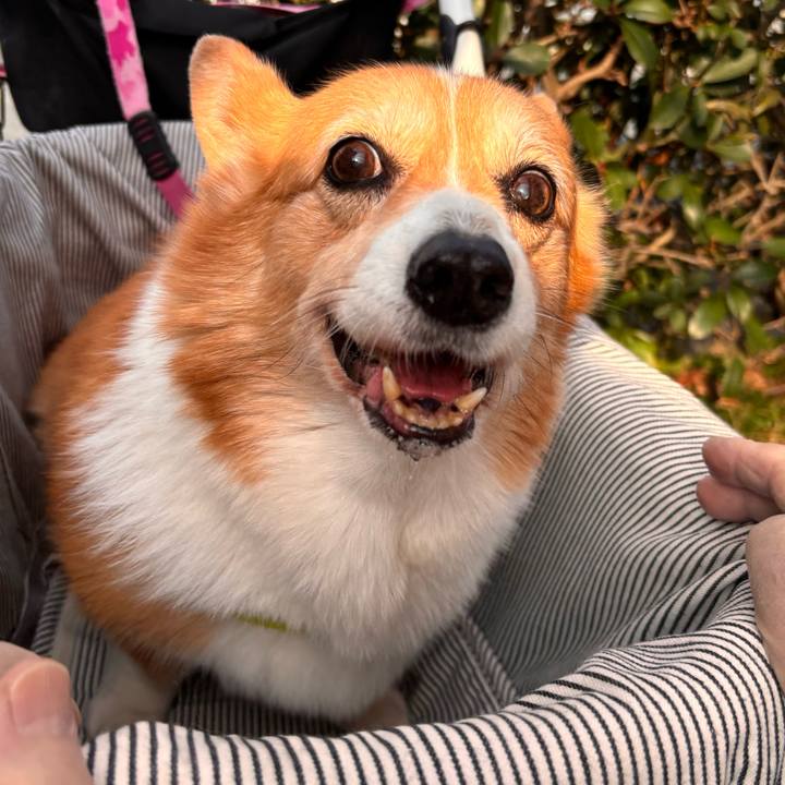 Fdfc8c7c d32a 4fab a567 6453b1461f4b 1762825439051