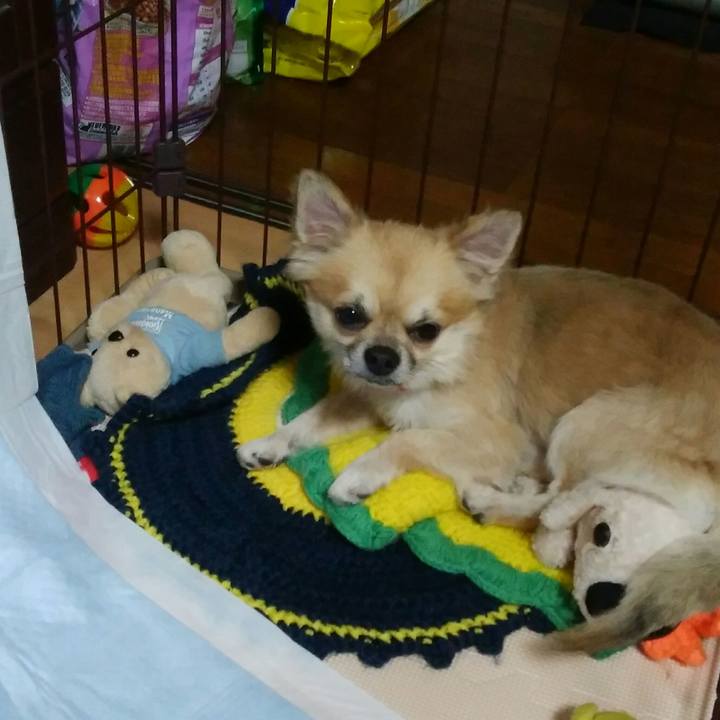 Fdfcf5c7 3091 496d 9639 a0d9d74158ba 1508928430952