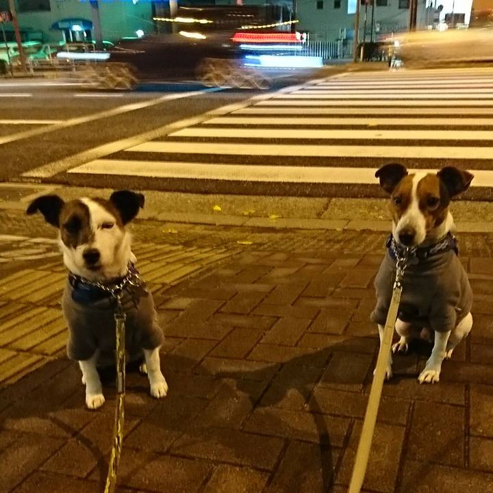 Fdfd2276 c030 41fd acb4 b841482eeac9 1577101846198