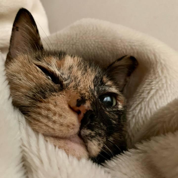 Fdfd5eb7 5f89 4aea 9f57 35a237f696b8 1772281018876