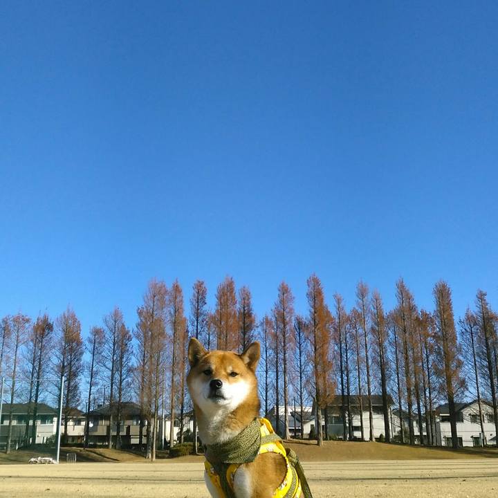 Fdfdb230 cf51 4ab2 bd2c f0e0c71e98e9 1513214450386