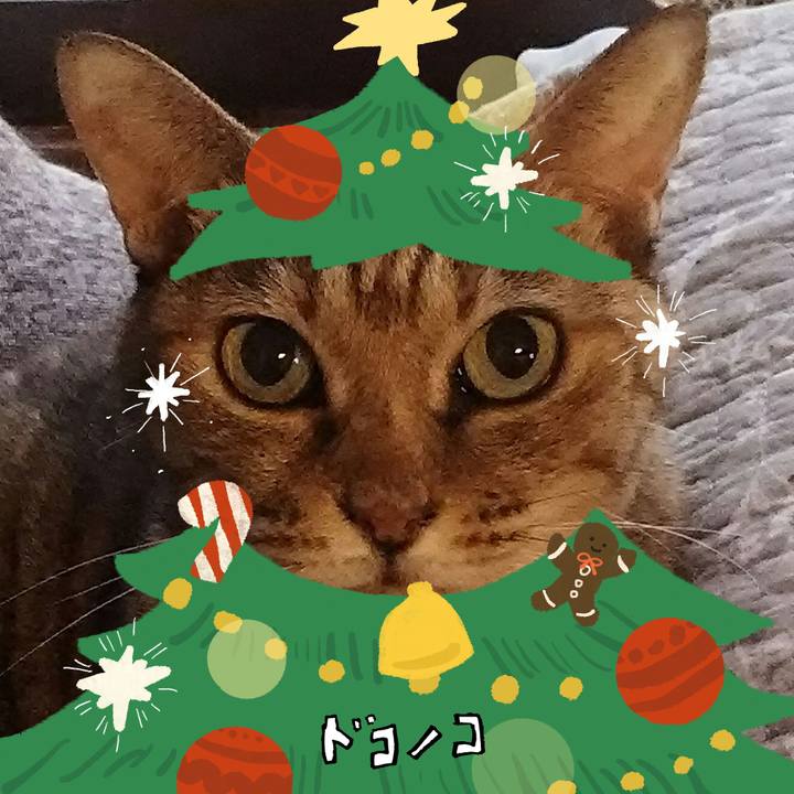 Fdfdf780 5f2e 4eab a5cb 5d9bf0e592d1 1761379449921