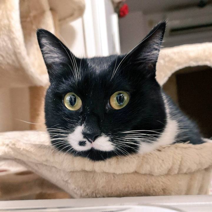 Fdfe0962 26b9 4935 97d5 3a8f7ab86d3d 1550500214867