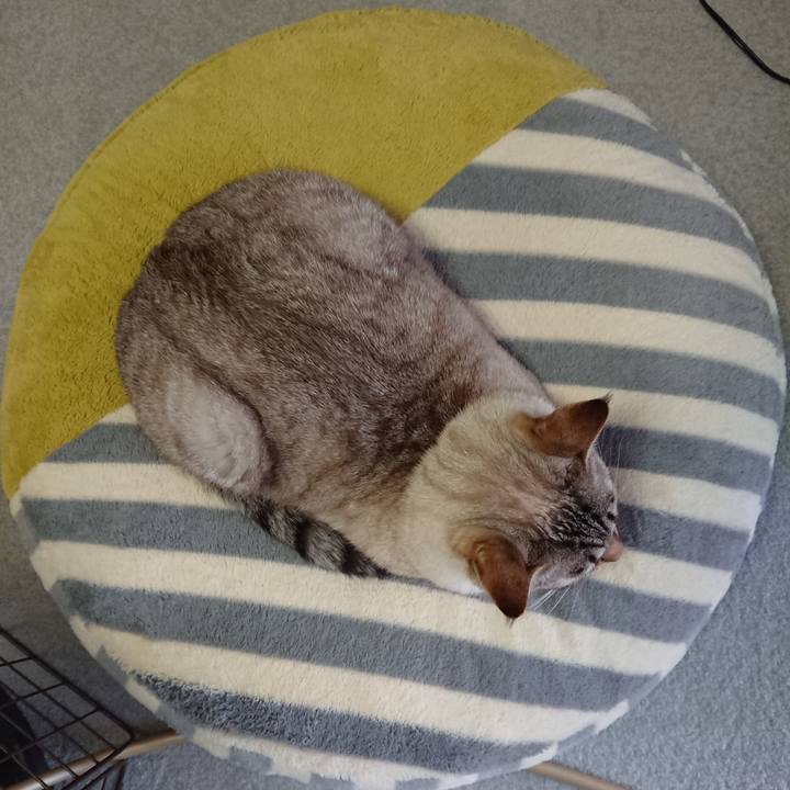 Fdfe2ffe 691f 43d0 a45a 4e705812caed 1577950410613