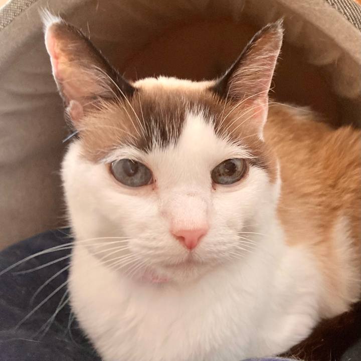 Fdfe5da4 806f 424c 92f7 8032e880485f 1676692473378