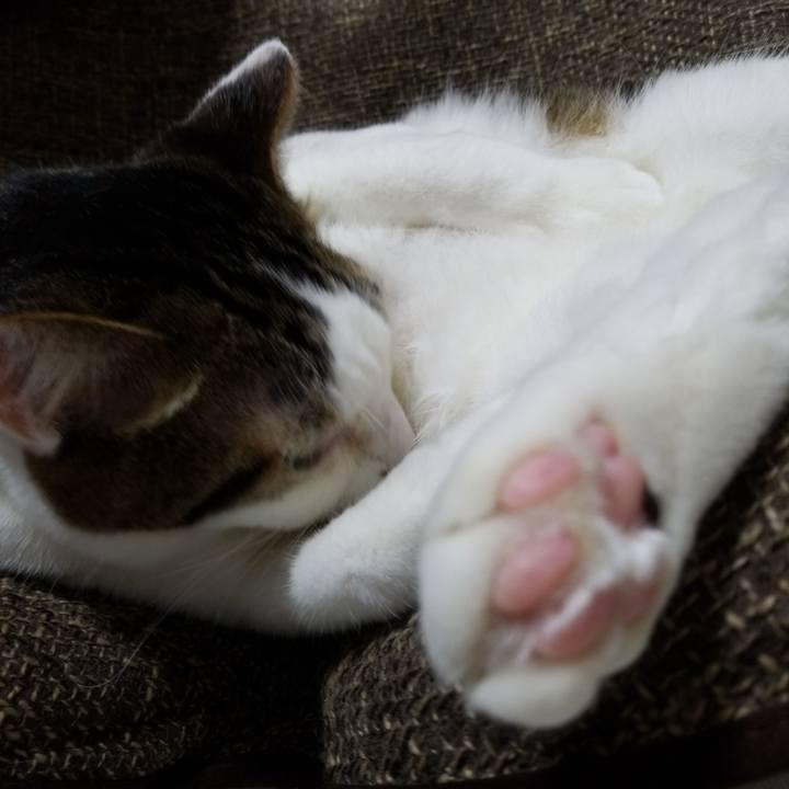 Fdfe5e2a 5408 4afb b1b4 4231d45d5a26 1568896626880