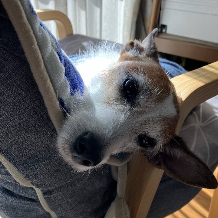 Fdfe681b e3e2 42f8 91d2 10c0298f54b7 1670714856660