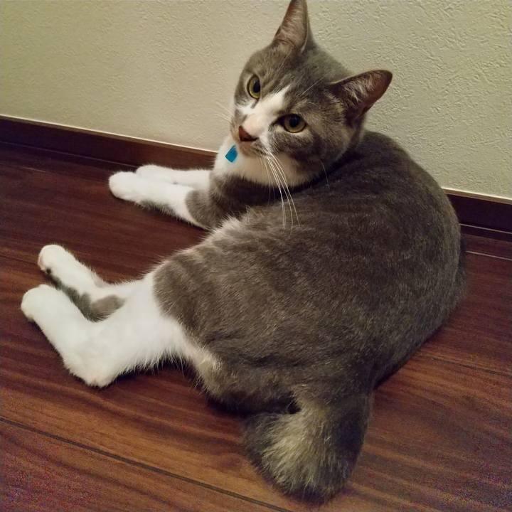 Fdfe6fdd e8c8 4f99 93c2 66a6adf13897 1598630819783