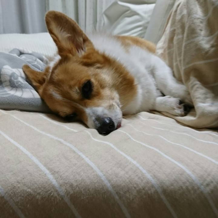 Fdfe89bb 626f 4876 8509 d525cf6c6b3a 1540452150118