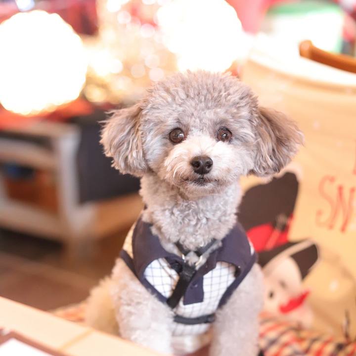 Fdff454d b3be 45ea a77e 32ea13524746 1764301673221