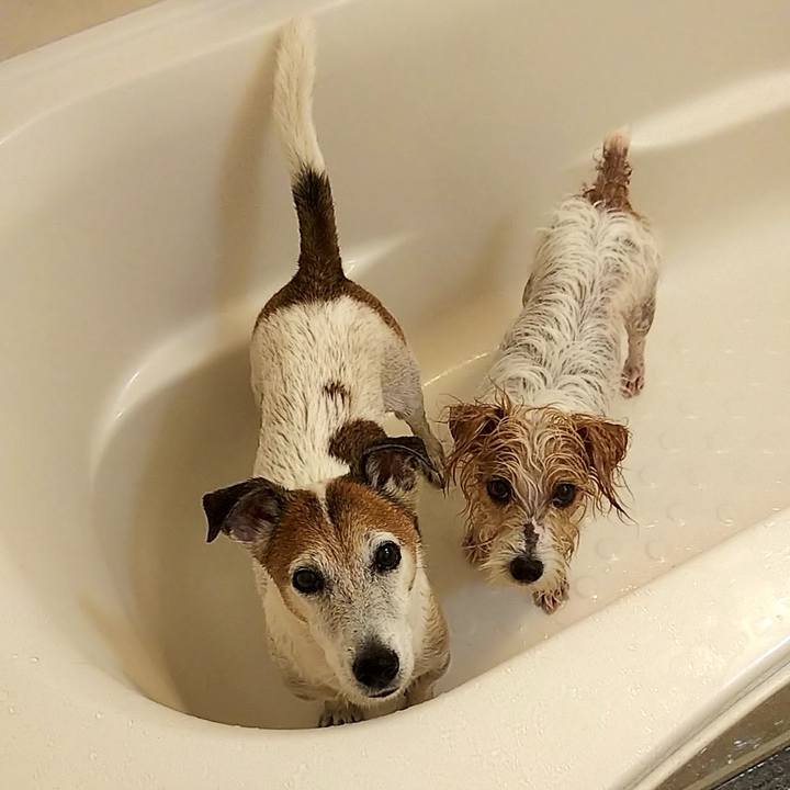 Fdff5be4 1594 4076 9794 e13e8a2e7b3c 1758666225154