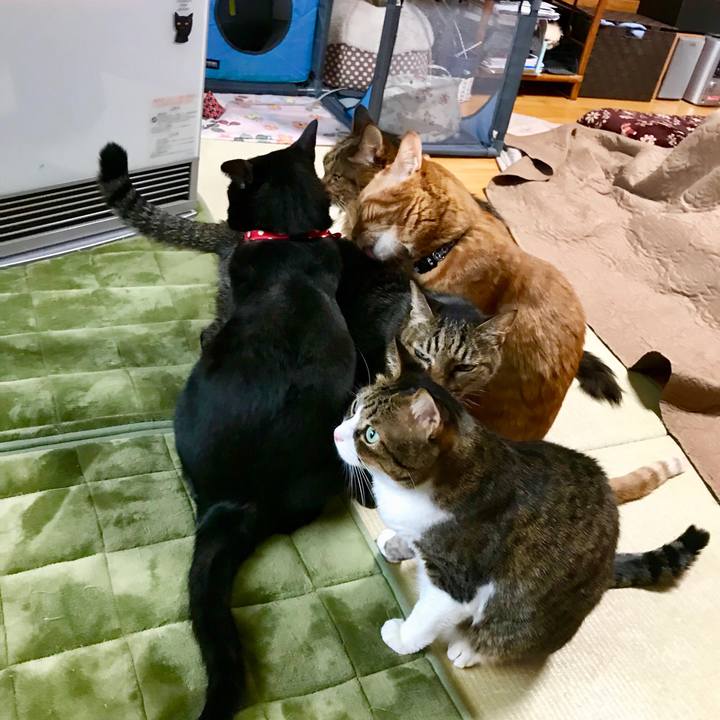 Fdff5cbb 5d7d 4ded b4b0 71f3a501d38f 1513514767428