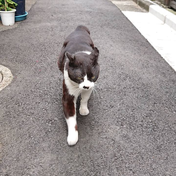 Fdffaf34 01a4 45d0 8136 4517b7ae36f2 1616212458168