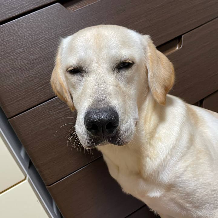 Fdffd530 50be 4cd9 aa17 19acdaa9165e 1625404660414