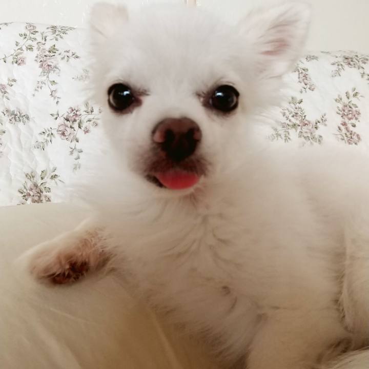 Fdffdfc1 95c2 4415 9ce7 84c961c57cf9 1598054820801