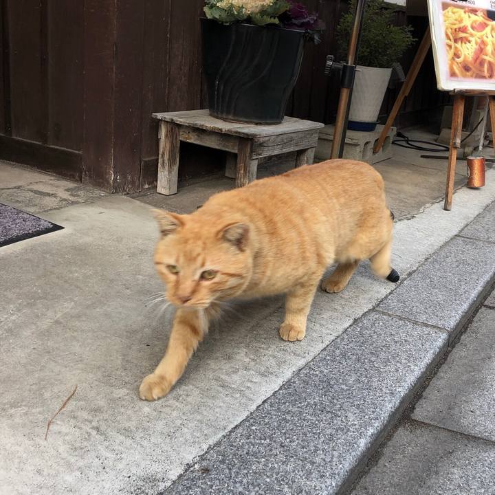 Fe003303 7f59 4d76 bdee 38e742ee0638 1610781657292