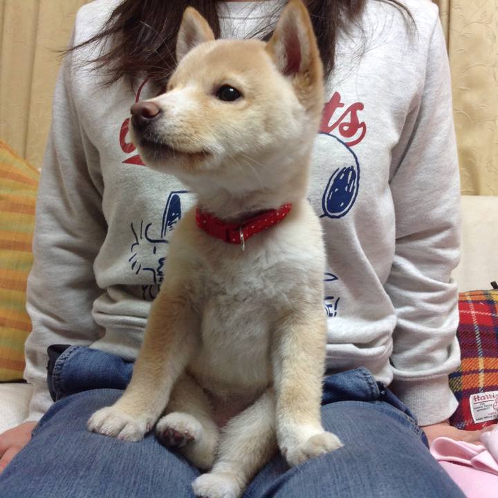 Fe003af1 c0d8 4301 8d24 c13cf4860ff3 1541592937996