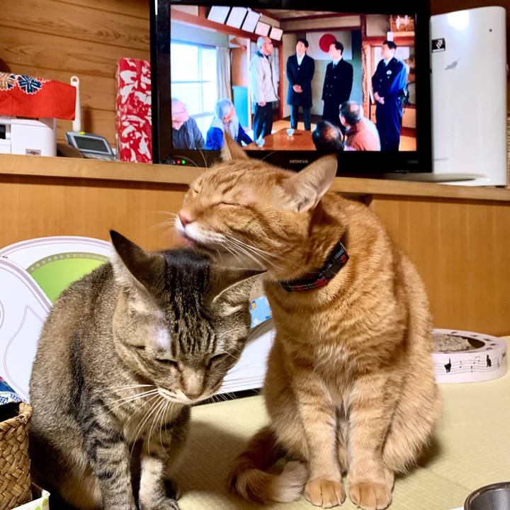 Fe00903e 2665 48c6 b8bc ad09e4f2ddfc 1579695531724