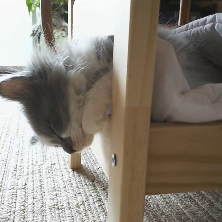 Fe0092c9 8a46 432b 87cf 2c4d4c859181 1559620976716