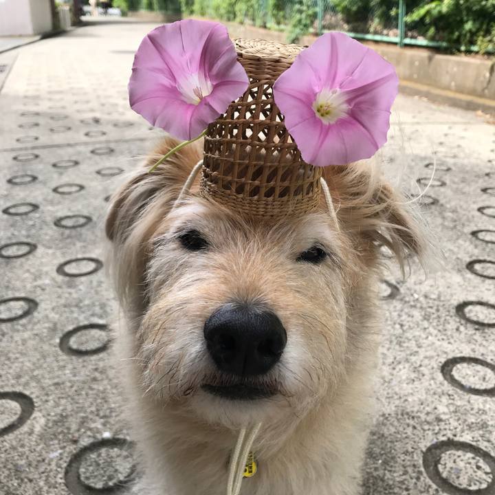 Fe009e4d e4fc 4f74 8f50 b4448ef18eb5 1590639281044