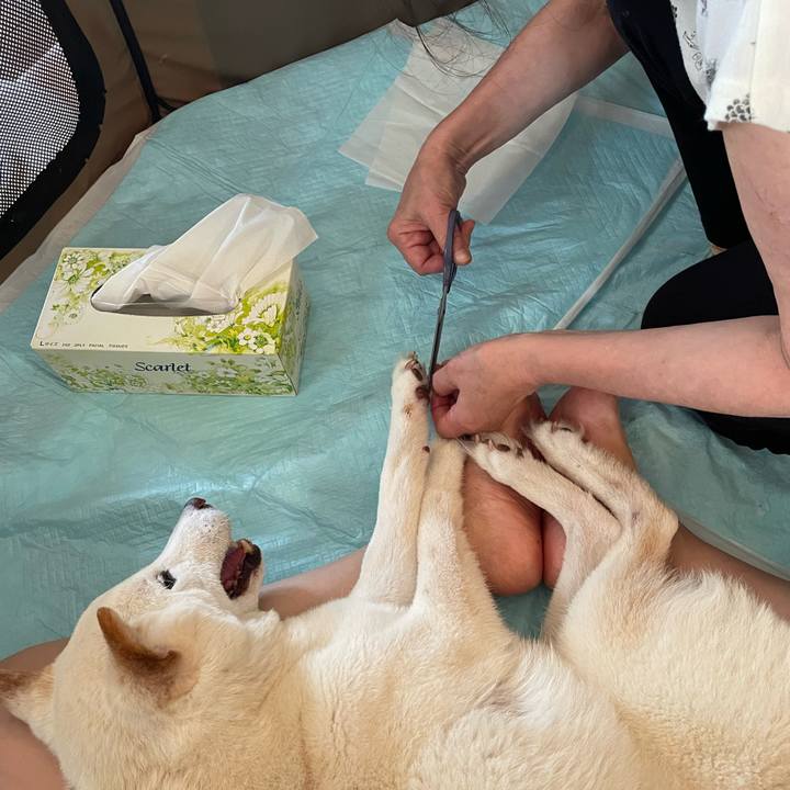 Fe00b1cd 63ad 4747 9bc8 3d1ea8702236 1656130384743