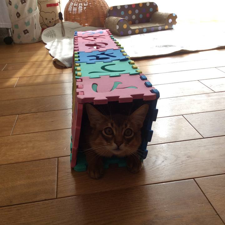 Fe00b261 e8ba 499d ba51 982fe263f48f 1583052247257