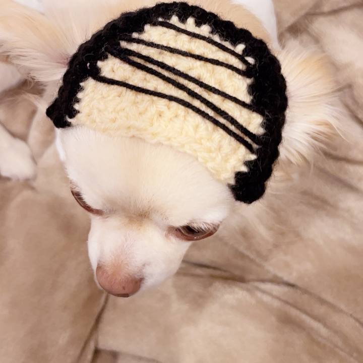 Fe00dbe7 57f1 48cd b4c7 1a73cf733281 1744016810333