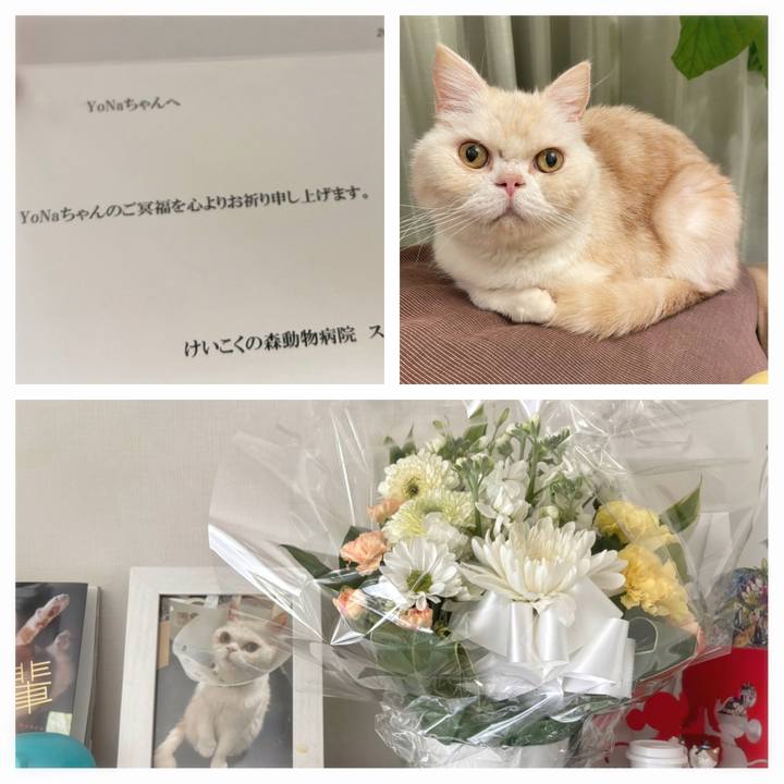 Fe01216c 0b55 455c 8a76 865a9cf27032 1773026031108