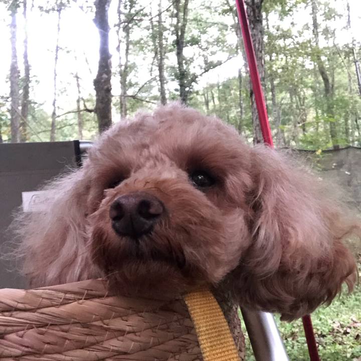 Fe01311b 6bea 414f 9335 4ffc2388ab52 1773147319460