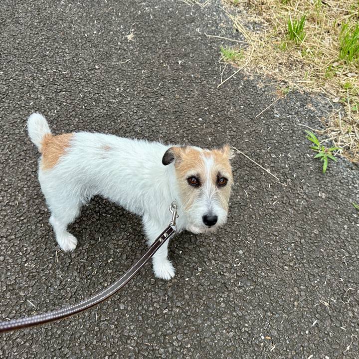 Fe018619 bea7 42bd 99ed 72377e0872cc 1748264822854