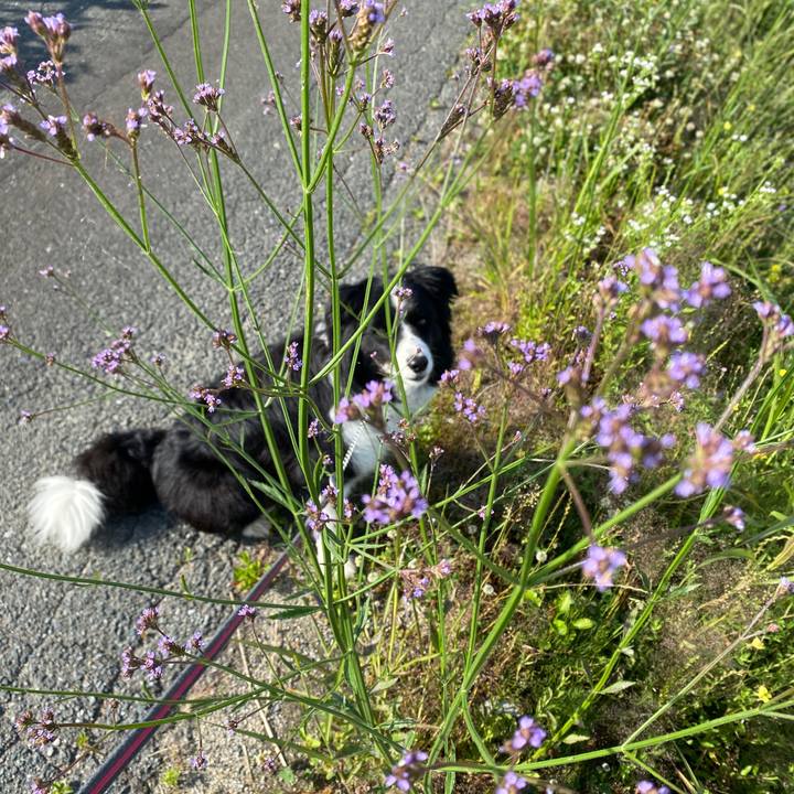 Fe019996 faf6 4367 98d0 e1e5f72f6e4c 1591062523175