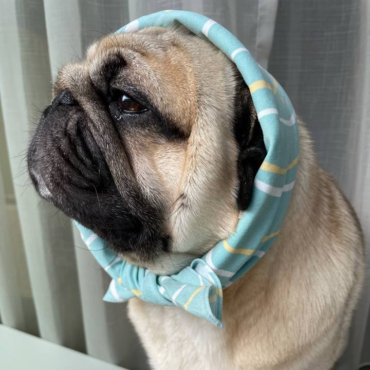 Fe01acf2 fd0c 4012 9cf0 97078b58494a 1628486334203