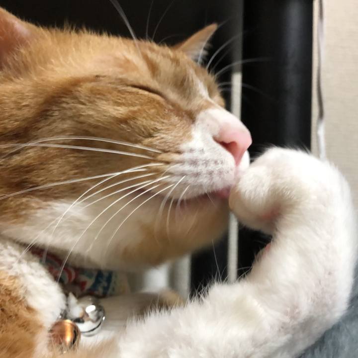 Fe01c63c 383d 48cd 9a5f c553ed865d5a 1588240495794