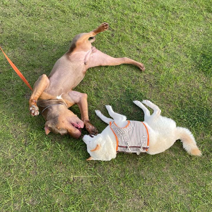 Fe01fb62 f684 4a15 a90b 0ee981c2d272 1656506107061