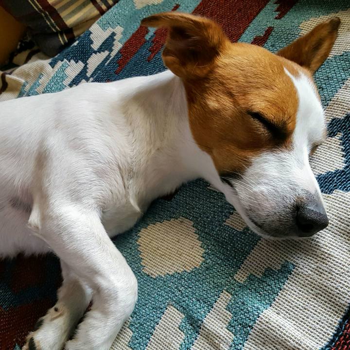 Fe01ff49 4dee 4782 bd28 e86a8c4c4a24 1591428059695