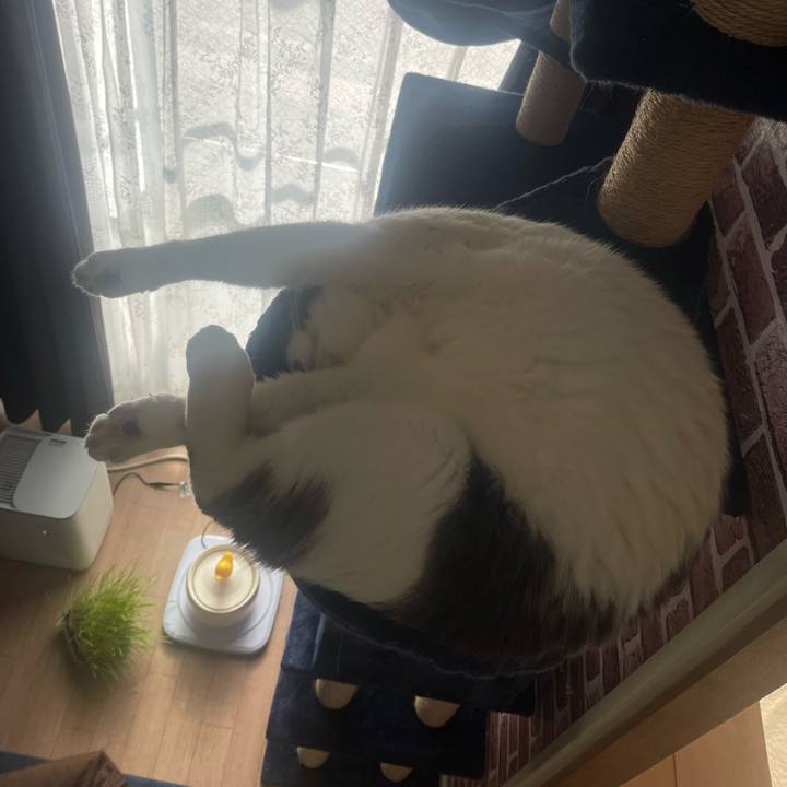 Fe0231d9 640b 4948 b4d0 e9cd8d53a274 1706769979132