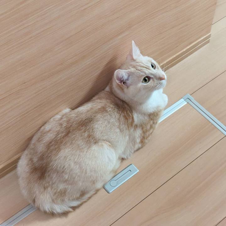 Fe023870 035c 4020 829f 516ed8de3b07 1695893849766