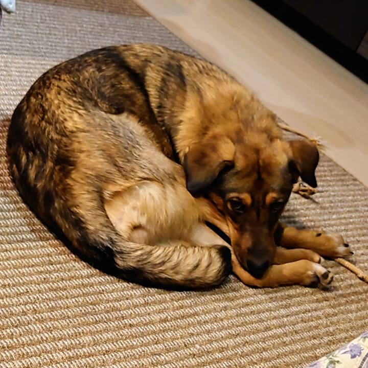 Fe0238bc 148f 4ded a176 d62ca4ff3fb7 1700224963847