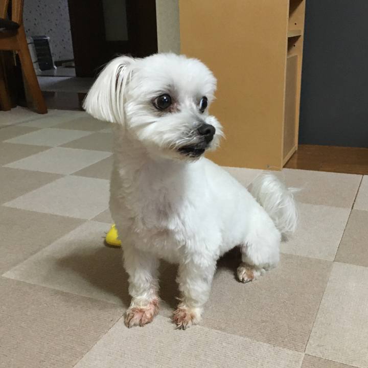 Fe0242df 29cf 4e8e b9de 92e823342683 1591183593191