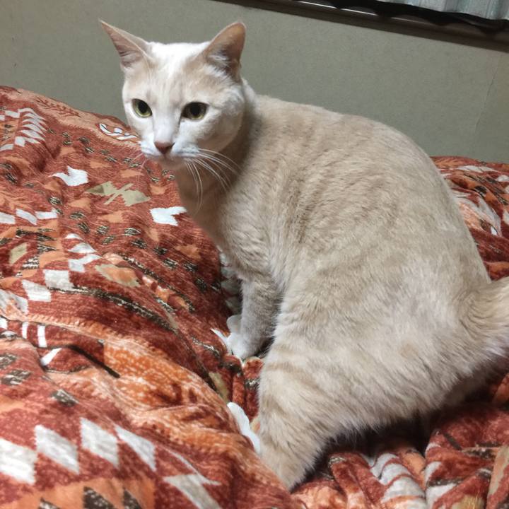 Fe0258bd 3fb1 4d60 8511 a89895150ec9 1522928693494