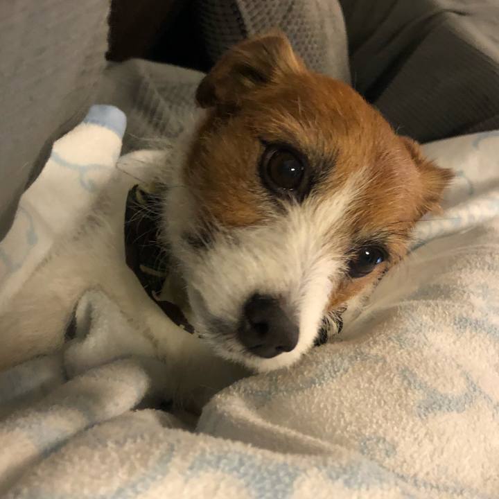 Fe0268d9 f10f 44e5 9cd7 889f8c59dedd 1587393389133