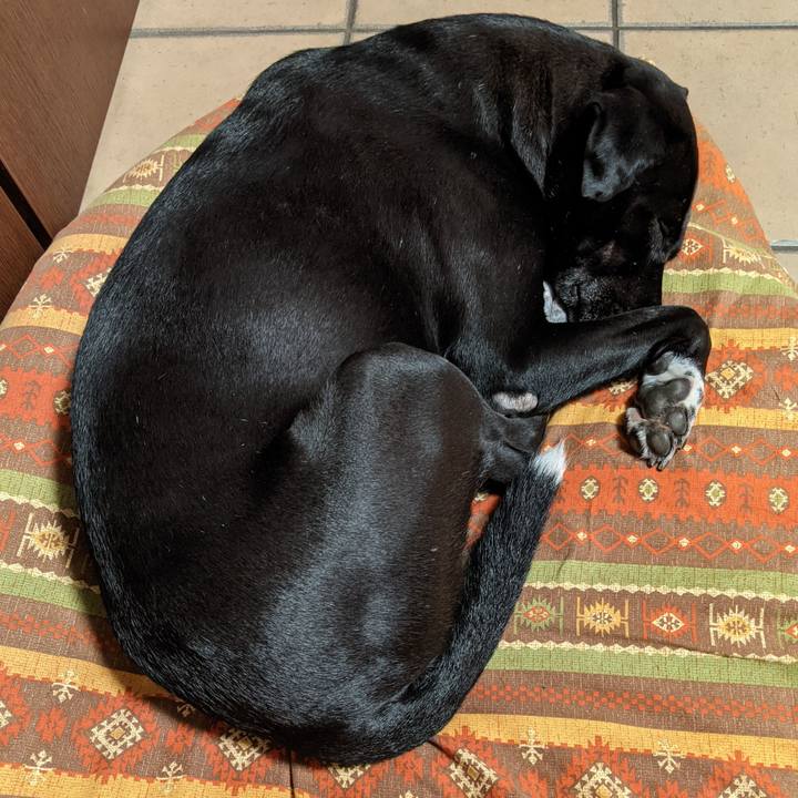 Fe026af7 892d 4aa5 bd95 79d6c390638e 1632703655400