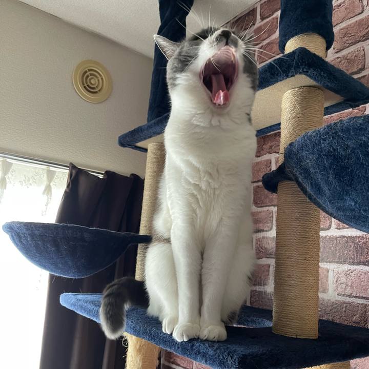 Fe026ee1 fbd2 487a 8df1 b221b8362b52 1663828890264