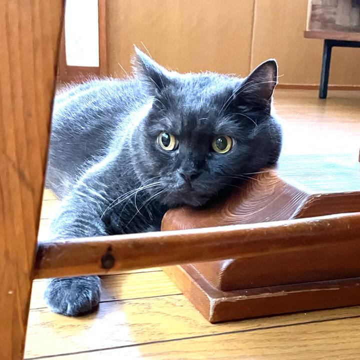 Fe028c85 8352 454f adcd e38c75515538 1757634335446