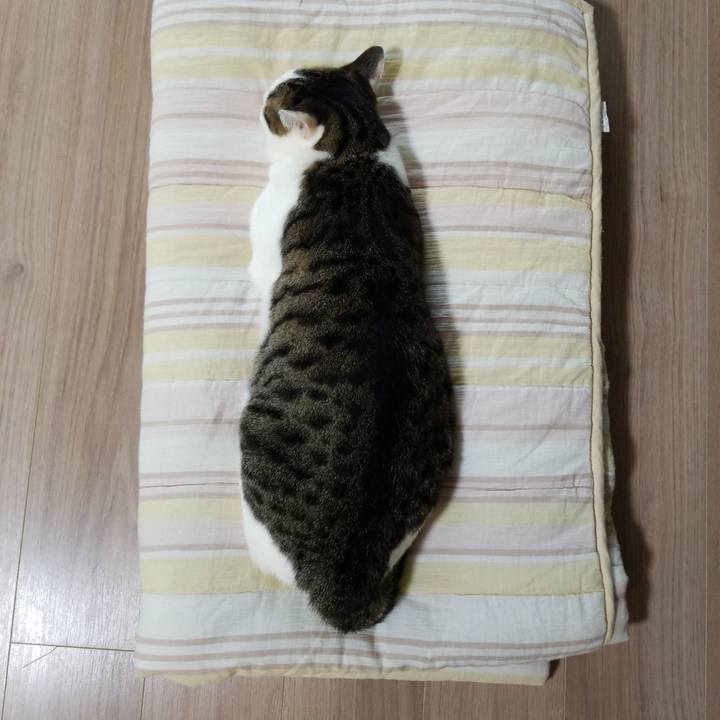 Fe029fda 0eae 4fdd aa17 bfa7b7cf51c9 1563054955045