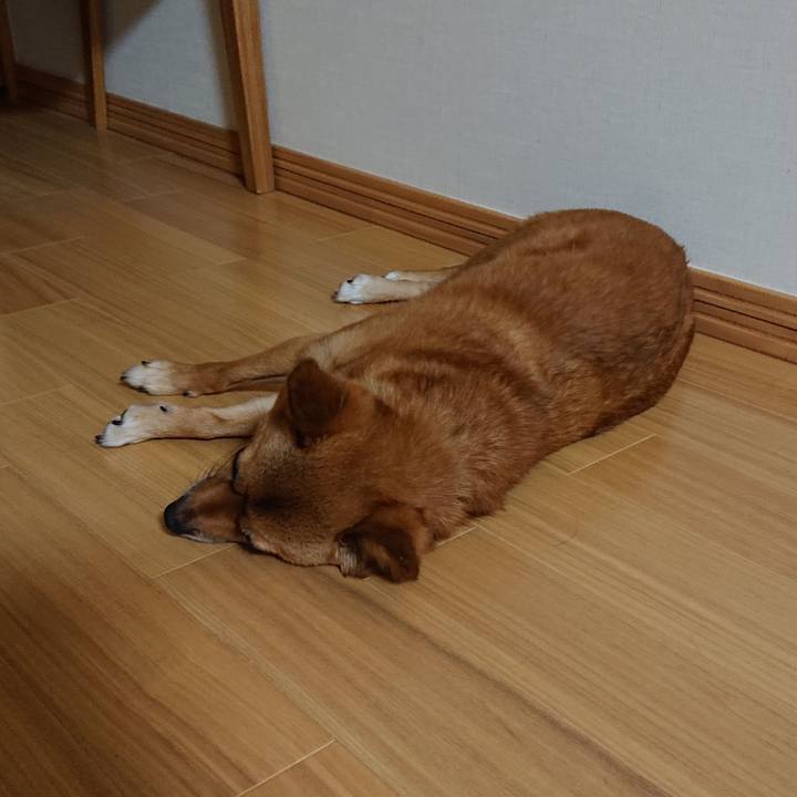 Fe02c315 94b1 405a a41a bb8212c7ea8a 1570102442066