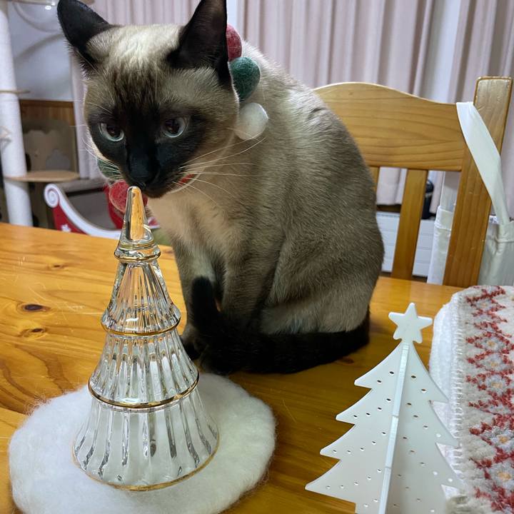 Fe02cf4c 04bd 493e 8e56 eccc81d67d26 1731446127499